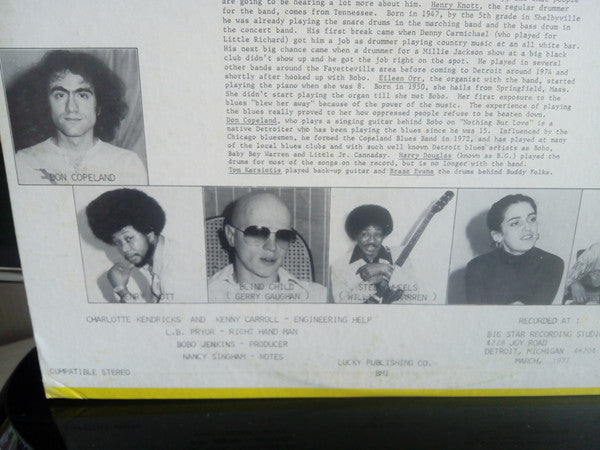 Bobo Jenkins With The Big Star Band / Various – Detroit All Purpose Blues, image 3