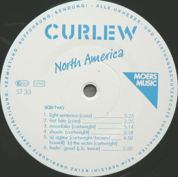 Curlew – North America, image 4