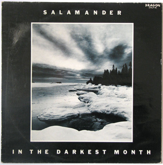 Front cover of Salamander – In The Darkest Month, Dragon, Sweden, 1983
