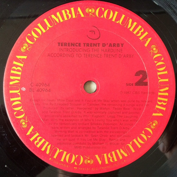 Terence Trent D'Arby – Introducing The Hardline According To Terence Trent D'Arby, image 5