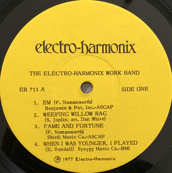 The Electro-Harmonix Work Band – State-Of-The-Art Electronic Devices, image 3