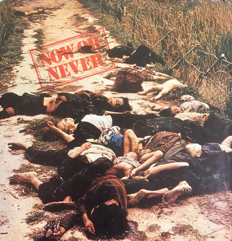 Front cover of Yoko Ono, The Plastic Ono Band – Now Or Never, Apple Records, US, 1973
