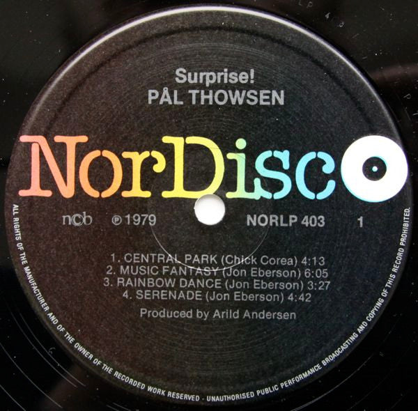 Pål Thowsen – Surprise, image 3