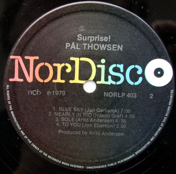Pål Thowsen – Surprise, image 4